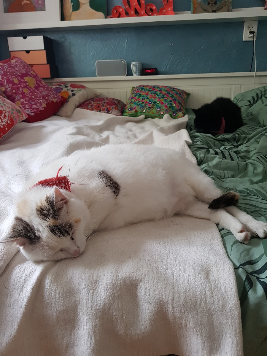 Lietje en Flo on the Bed 